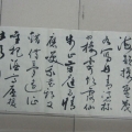 20130728烟沽野鹤素儿来深